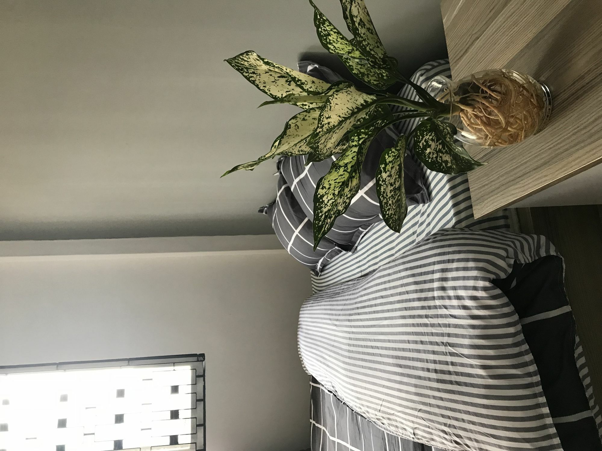 Meowies Homestay Ho Chi Minh Zewnętrze zdjęcie